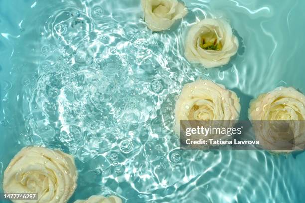 flowers on blue rippled water with copy space. abstract floral background, symbolizing purity, clearance, relaxation and spa - floral pattern water colour stock-fotos und bilder