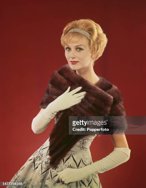 Posed studio portrait of a female fashion model wearing a ranch mink fur stole over an embroidered silver satin evening dress and elbow length white...