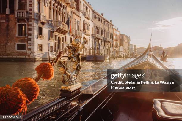 canal grande from gondola - venice gondola stock pictures, royalty-free photos & images