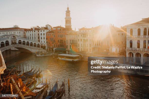 grand canal and rialto bridge in venice at dawn - campanile venice stock pictures, royalty-free photos & images