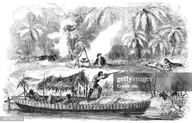 mittagspause am rio trombutas, brasilien - 1857 stock-grafiken, -clipart, -cartoons und -symbole