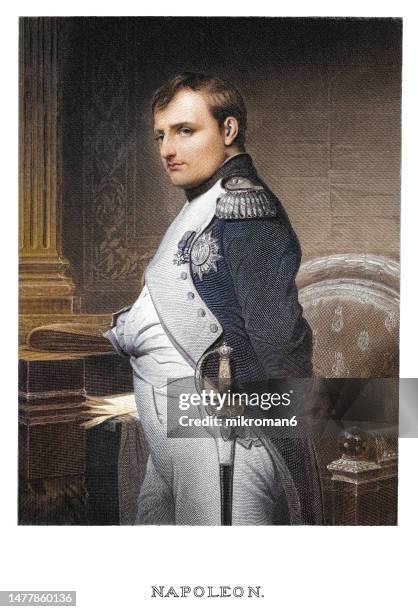 portrait of the napoleon i bonaparte, emperor of the french - fine art portrait stockfoto's en -beelden