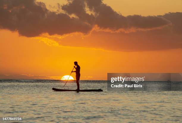 silhouette man paddleboarding in sea against golden sky at sunset - mauritius stock-fotos und bilder