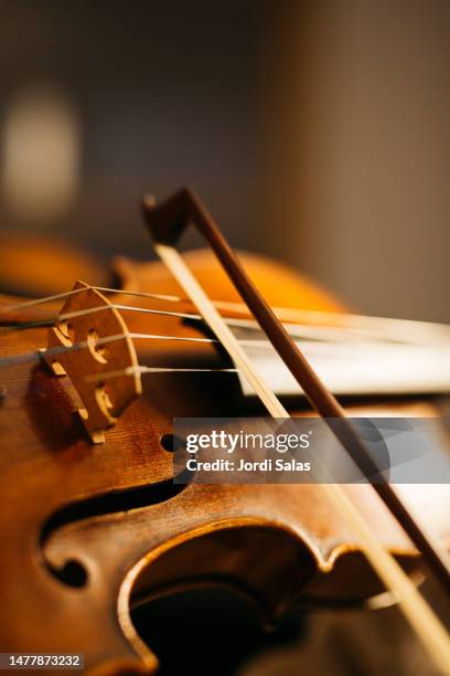 musician playing a violin - violino imagens e fotografias de stock