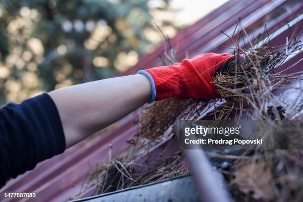 cleaning roof roof from fallen leaves with protective gloves - leaf on roof stock pictures, royalty-free photos & images