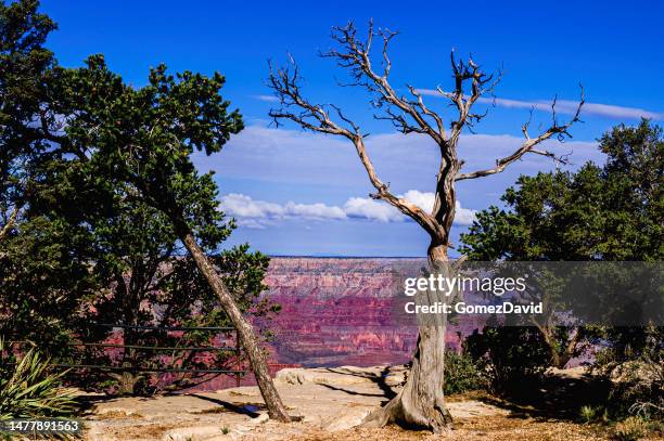 Grand Canyon Sunset View From South Rim 이미지 (1477891563) - 게티이미지뱅크