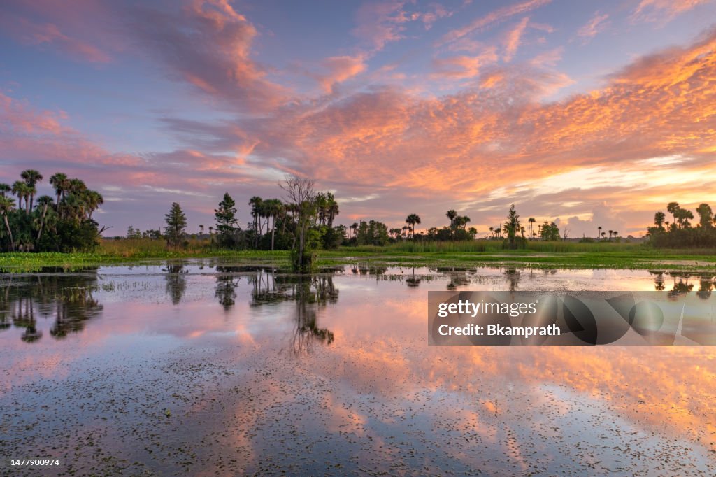 Atemberaubender Orlando Wetlands Park während eines pulsierenden Sonnenaufgangs in Zentralflorida USA