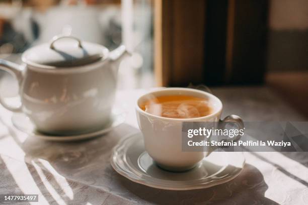 cup of steaming tea - grüner tee stock-fotos und bilder
