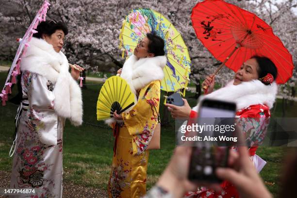 Tourists dress in kimonos enjoy cherry blossoms in peak bloom near Tidal Basin on March 25, 2023 in Washington, DC. According to a new report from...
