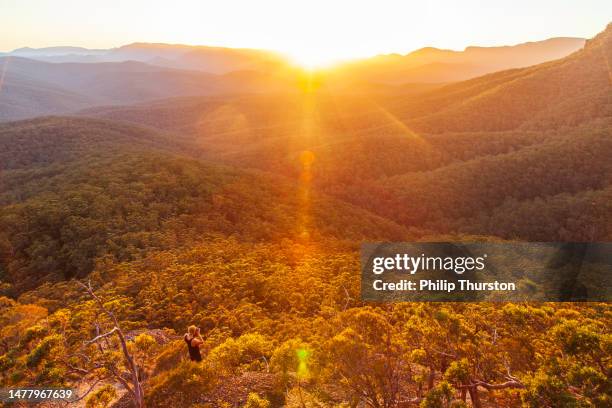 sun setting in the mountains over forest and rolling hills - top of the mountain australia stock pictures, royalty-free photos & images