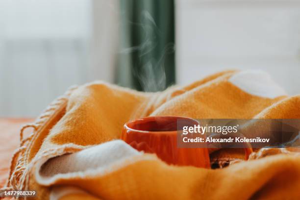 hot steaming cup of coffee or tea on a warm orange plaid. autumn mood - inside of pumpkin stock pictures, royalty-free photos & images