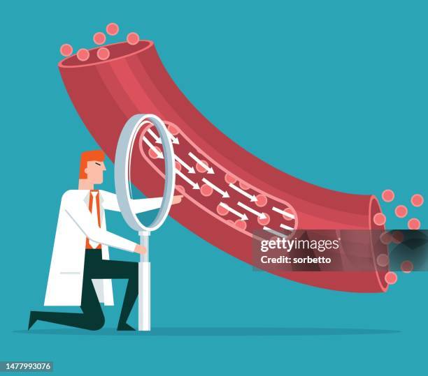 stockillustraties, clipart, cartoons en iconen met magnifying glass - blood vessel - menselijke ader