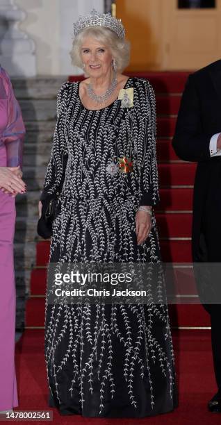 Camilla, Queen Consort poses at the Bellevue Palace ahead of a State Banquet on March 29, 2023 in Berlin, Germany. The King and The Queen Consort's...