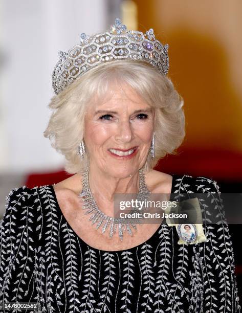 Camilla, Queen Consort poses at the Bellevue Palace ahead of a State Banquet on March 29, 2023 in Berlin, Germany. The King and The Queen Consort's...