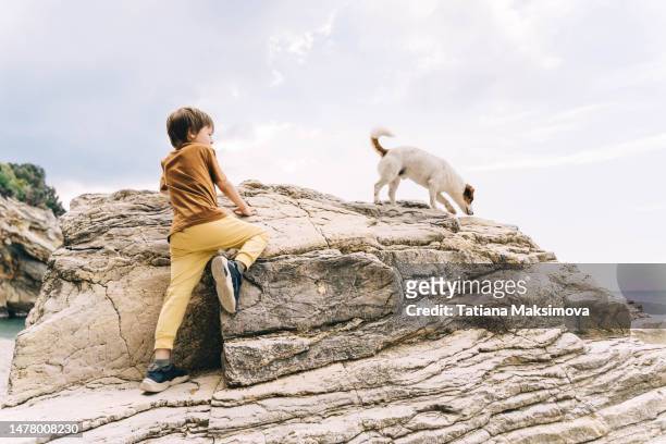 little boy and dog climb on the beautiful texture rocks. - cliff texture stockfoto's en -beelden