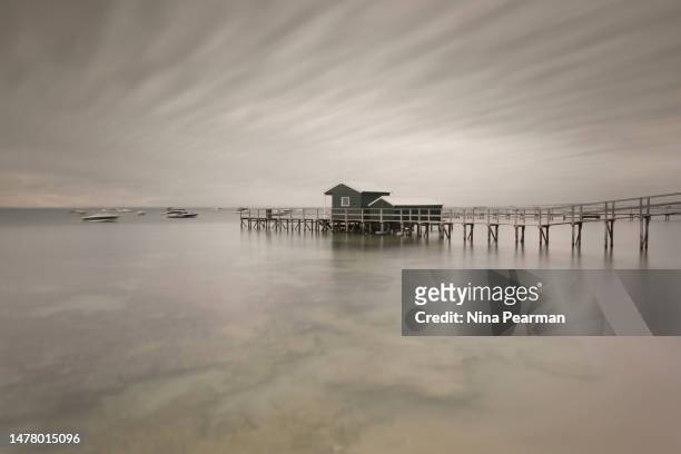 shelley beach jetty in portsea victoria - peninsula mornington - fotografias e filmes do acervo