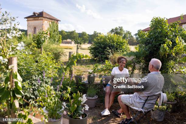 französisches sommerleben - french garden stock-fotos und bilder