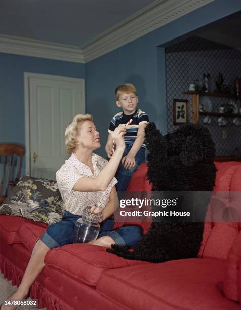 American actress and singer Doris Day wearing a short sleeve polka dot shirt with knee-length denim shorts, sitting beside her son, Terry Melcher,...