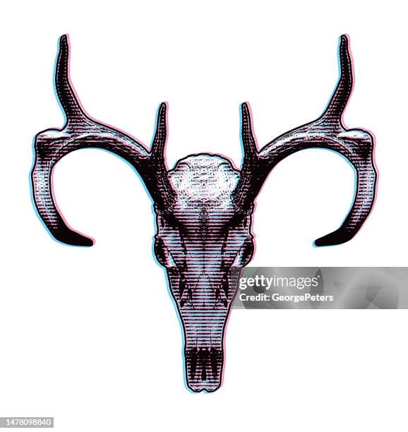 whitetail deer skull and antlers with glitch technique - deer skull stock illustrations