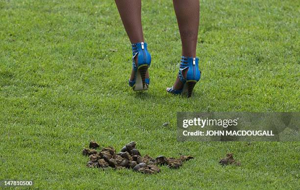 Dancer of the Grande Rio Samba School from Brazil walks next to a pile of horse dung in the main stadium during the opening ceremony of the World...
