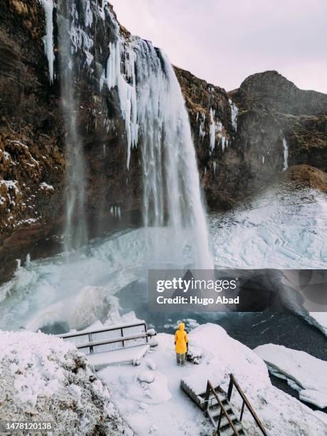 seljalandsfoss waterfall in winter - selfoss stock pictures, royalty-free photos & images