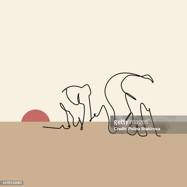 wüstenlandschaft mit sonnenuntergang und wilden tieren. vektorillustration von elefanten - desert elephant stock-grafiken, -clipart, -cartoons und -symbole