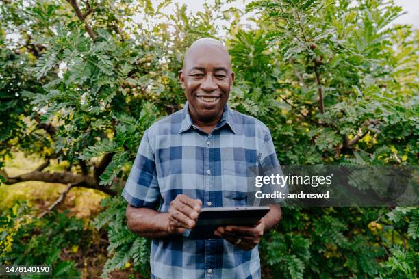 portrait of a country man holding digital tablet siriguela seriguela ciriguela ceriguela - spondias purpurea stock pictures, royalty-free photos & images