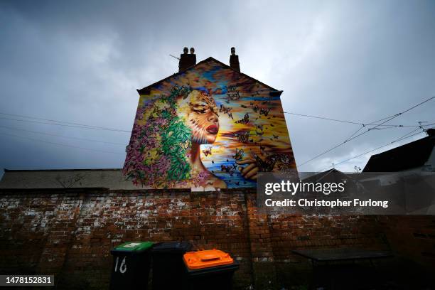 Painted Lady' by artist Jim Vision part of the Beeston Street Art Project that has also created a legalised site for graffiti artists and writers in...