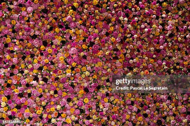 Roses are displayed at the Christian Dior Haute-Couture show as part of Paris Fashion Week Fall / Winter 2013 on July 2, 2012 in Paris, France.