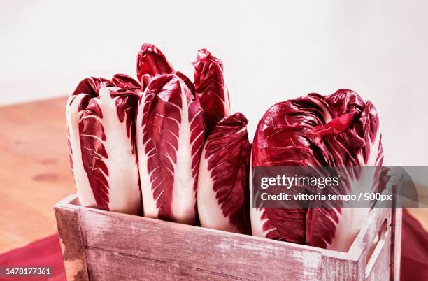 close-up of cabbages in crate against white background,rome,metropolitan city of rome capital,italy - radicchio stock-fotos und bilder