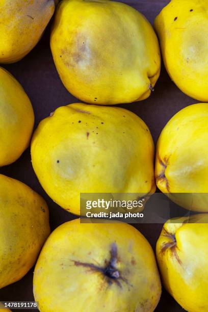 front view of turkish quinces lying in a tray at the market - quince restaurant stock pictures, royalty-free photos & images