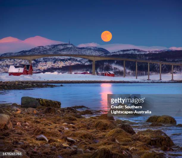 winter's dusk and rising moon on the tromso coastline, arctic norway - tromsö stock-fotos und bilder
