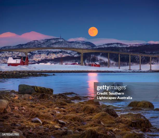 winter's dusk and rising moon on the tromso coastline, arctic norway - tromso stock pictures, royalty-free photos & images