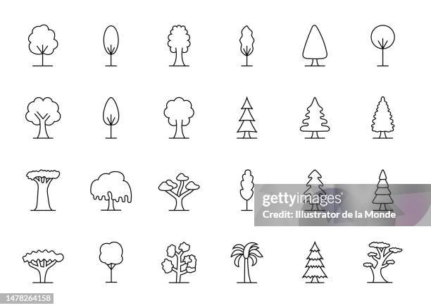 illustrations, cliparts, dessins animés et icônes de icônes de ligne d’espèces d’arbres - aspen tree