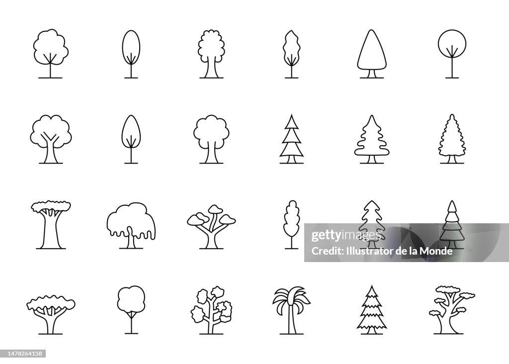 Tree Species Line Icons