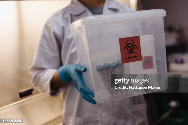 wissenschaftler erforschen und analysieren schädliche schadstoffe im labor. - biogefährliche substanz stock-fotos und bilder