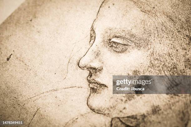 ilustraciones, imágenes clip art, dibujos animados e iconos de stock de bocetos y dibujos de leonardo: madonna litta - siglo xvi