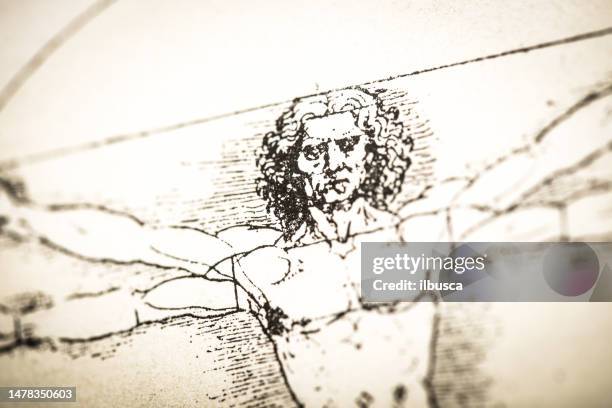 leonardo's sketches and drawings: vitruvian man - leonardo da vinci stock illustrations