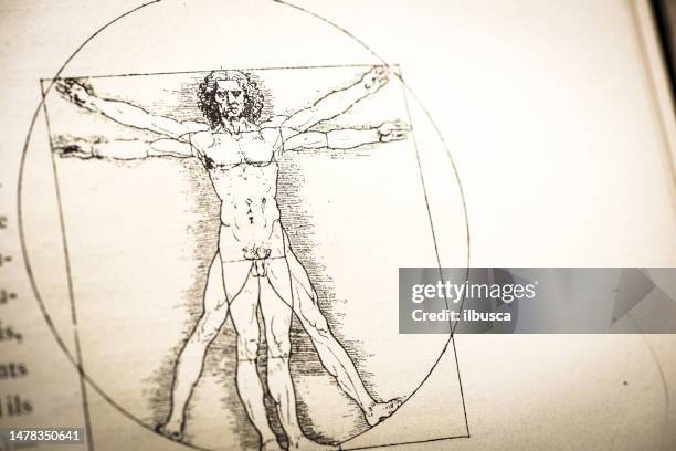 stockillustraties, clipart, cartoons en iconen met leonardo's sketches and drawings: vitruvian man - renaissance and schets