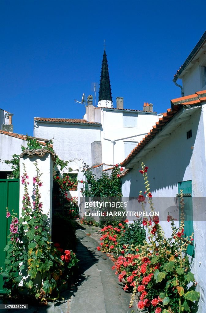 Ile de Ré, Ars, venelle fleurie. News Photo - Getty Images