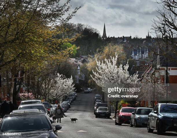 frühling im norden londons - highgate stock-fotos und bilder