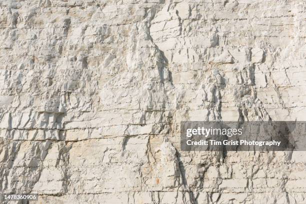 close up of the chalk rock face of the seven sisters cliffs, east sussex, uk - calcareous stock pictures, royalty-free photos & images
