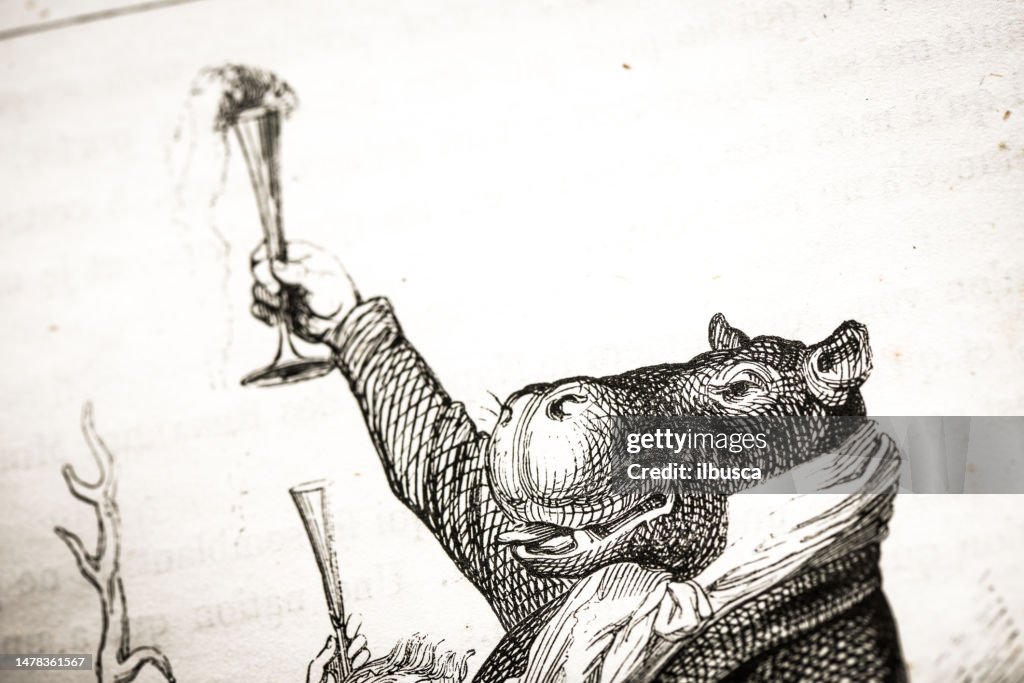 Humanized animals illustrations: Hippo toasting