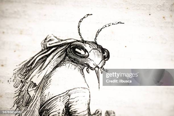 humanized animals illustrations: insect lady - praying mantis stock illustrations
