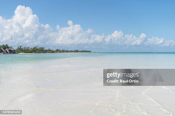 amazing view of holbox beach .paradise exotic destination with sandbar and crystal clear water in mexico - holbox island stockfoto's en -beelden