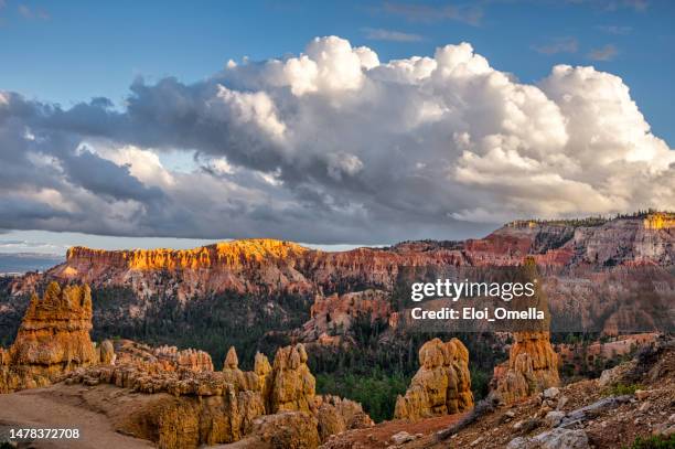 bryce canyon national park sunrise point - bryce canyon stock pictures, royalty-free photos & images