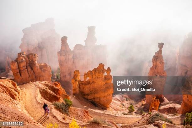 trekking navajo loop trail bryce canyon national park at sunrise with fog. utah. usa - bryce canyon national park stock pictures, royalty-free photos & images