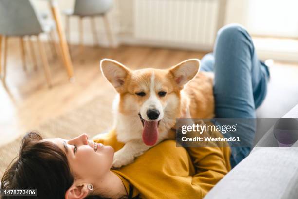 smiling young woman hugging pembroke welsh corgi on sofa in living room at home - pembroke welsh corgi stock pictures, royalty-free photos & images