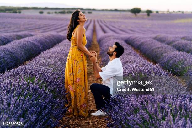 man proposing woman standing in lavender field - heiratsantrag stock-fotos und bilder