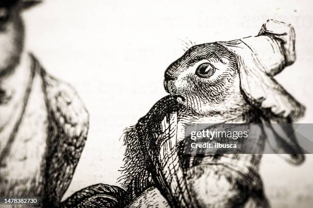 47 Humanized Rabbit Stock Photos, High-Res Pictures, and Images - Getty ...